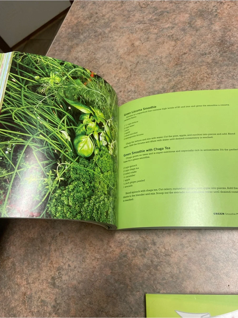 Smoothie Cookbook lot